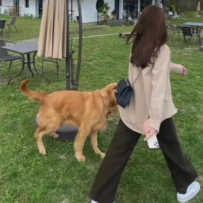摩登武圣