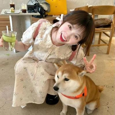 圣诞有情人